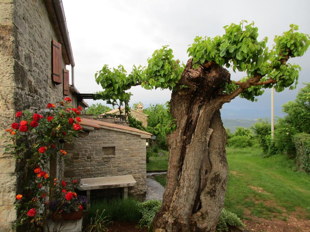 Agroturizam Nezic Villa Oprtalj Exterior photo